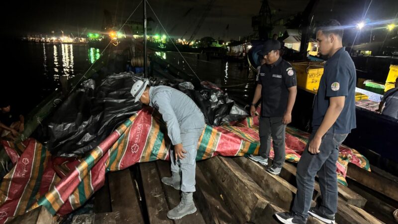 Bakamla RI bersama Kementerian Kehutanan berhasil menggagalkan pengangkutan kayu olahan yang diduga ilegal di Dermaga Sagulung, Batam
