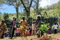 Koramil 1715-02/Kiwirok bersama masyarakat di dua belas desa, Distrik Kiwirok melaksanakan kegiatan penanaman pohon kopi