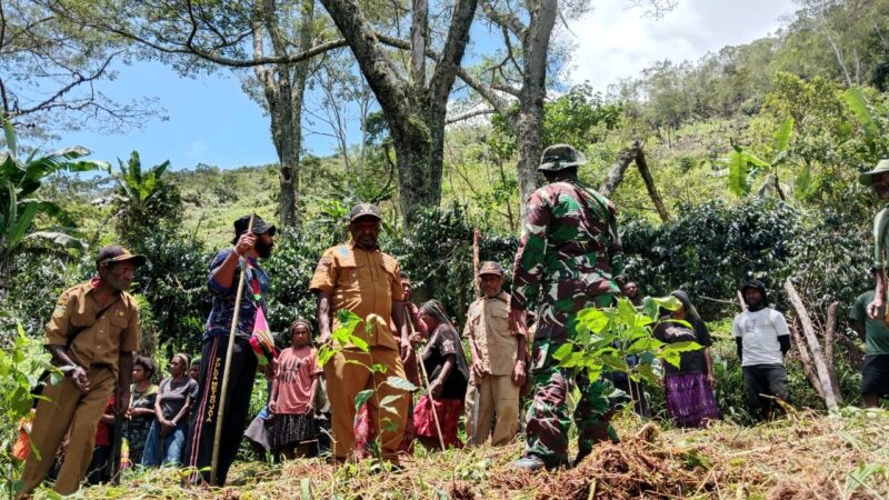 Koramil 1715-02/Kiwirok bersama masyarakat di dua belas desa, Distrik Kiwirok melaksanakan kegiatan penanaman pohon kopi