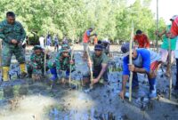 Satgas TNI Manunggal Membangun Desa (TMMD) ke-126 Kodim 1505/Tidore melaksanakan kegiatan penghijauan dengan menanam pohon mangrove