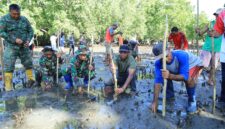 Satgas TNI Manunggal Membangun Desa (TMMD) ke-126 Kodim 1505/Tidore melaksanakan kegiatan penghijauan dengan menanam pohon mangrove