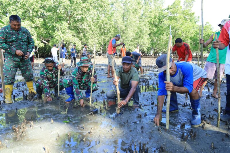 Satgas TNI Manunggal Membangun Desa (TMMD) ke-126 Kodim 1505/Tidore melaksanakan kegiatan penghijauan dengan menanam pohon mangrove