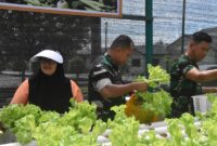 Dandim 1710/Mimika Letkol Inf M. Slamet Wijaya, S.Sos., M.Han., M.A. melaksanakan panen tanaman Slada di Kebun Hidronik Persit KCK Cab. XXXV