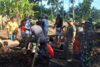 Satgas TMMD ke-126 Kodim 1505/Tidore bersama masyarakat Desa Tagalaya melaksanakan kegiatan penanaman jagung di lahan ketahanan pangan
