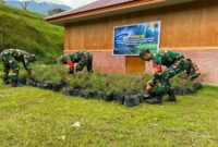 Komando Distrik Militer (Kodim) 1714/Puncak Jaya telah melaksanakan kegiatan penyiapan bibit pohon Cemara