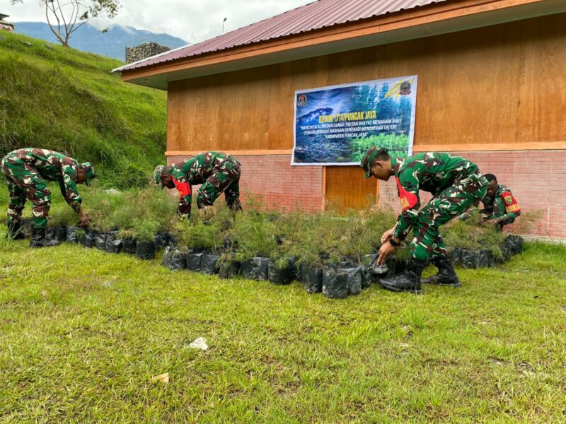 Komando Distrik Militer (Kodim) 1714/Puncak Jaya telah melaksanakan kegiatan penyiapan bibit pohon Cemara