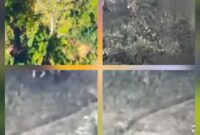 Anggota Tentara Pembebasan Nasional Papua Barat (TPNPB) dari Organisasi Papua Merdeka (OPM) Kodap III/Puncak pimpinan Lekagak Talenggen melakukan pembakaran rumah