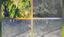 Anggota Tentara Pembebasan Nasional Papua Barat (TPNPB) dari Organisasi Papua Merdeka (OPM) Kodap III/Puncak pimpinan Lekagak Talenggen melakukan pembakaran rumah