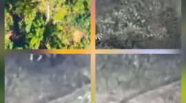 Anggota Tentara Pembebasan Nasional Papua Barat (TPNPB) dari Organisasi Papua Merdeka (OPM) Kodap III/Puncak pimpinan Lekagak Talenggen melakukan pembakaran rumah