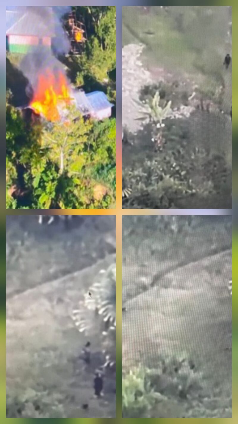 Anggota Tentara Pembebasan Nasional Papua Barat (TPNPB) dari Organisasi Papua Merdeka (OPM) Kodap III/Puncak pimpinan Lekagak Talenggen melakukan pembakaran rumah