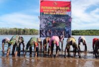 Satgas TMMD ke-128 Kodim 1710/Mimika bersama masyarakat melaksanakan kegiatan penanaman ribuan bibit mangrove