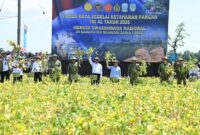 Panen Raya Kedelai yang digelar TNI AL di Desa Ngudikan, Kecamatan Wilangan, Kabupaten Nganjuk, Jawa Timur