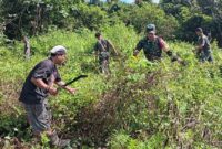 Babinsa Koramil 1710-07/Mapurujaya, Sertu Tangkad Budiono, bersama warga melaksanakan kerja bakti pembersihan Tempat Pemakaman Umum