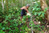 Semangat gotong royong antara TNI dan masyarakat terus mewarnai pelaksanaan TNI Manunggal Membangun Desa (TMMD) ke-129 Tahun Anggaran 2026