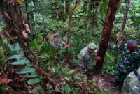 Wakil Panglima TNI merangkap Kepala Badan Nasional Pengelola Perbatasan dan Daerah Terpencil (BNPPDT) Jenderal TNI Maruli Simanjuntak meninjau Pos Pengamanan Perbatasan
